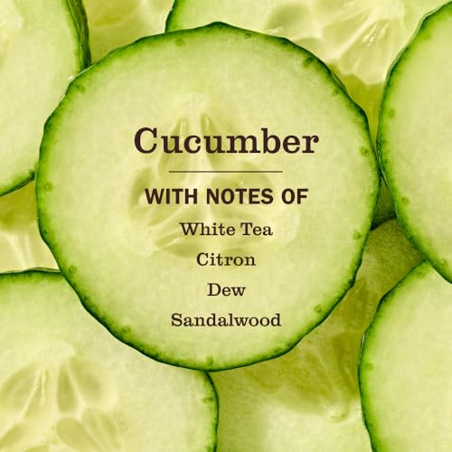 Image of MRS. MEYER'S CLEAN DAY Hand Soap, Cucumber Scent, 12.5 Fl Oz Bottle
