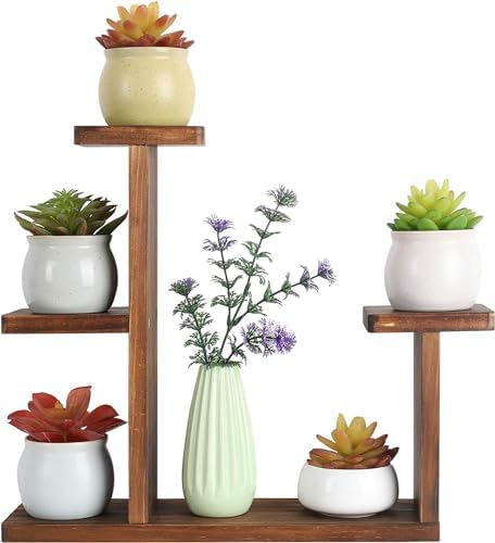 ��Tiered Plant Stands Succulent Pot Small Plant Shelf Stand for Indoor Plants main image 1