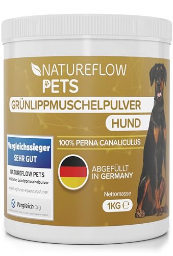 Grünlippmuschel Hund TESTSIEGER - 1kg natürliches Grünlippmuschelpulver für Hunde - Unterstützung der Gelenkfunktion - Grünlippmuschel für Hunde mit Hoher Akzeptanz - Grünlippmuschelpulver Hund