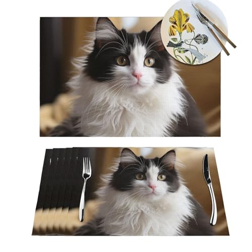 Sets de table lavables pour protéger la table des taches lot de 6 PVC