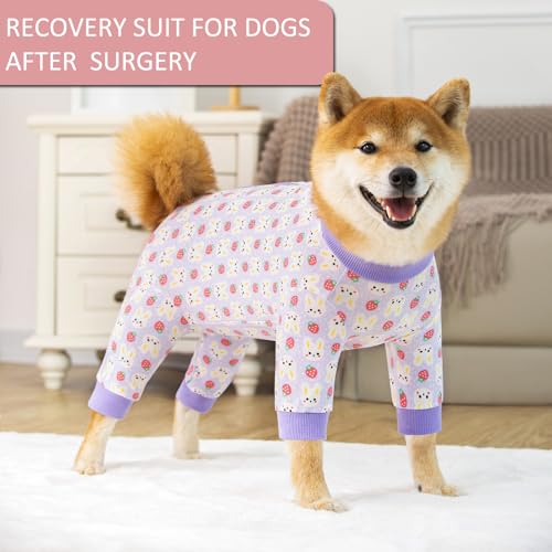 Image of Dog Recovery Suit for Small Medium Large Dogs, Pet Onesie After Surgery Comfort Dog Bodysuit Anti Licking (Purple Bunny,3XL)