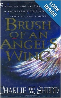 Brush of an Angels Wing B001VC1R0I Book Cover