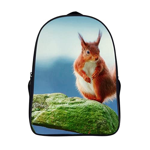 Sac à dos cool motif écureuil avec grand volume de rangement de 40cm