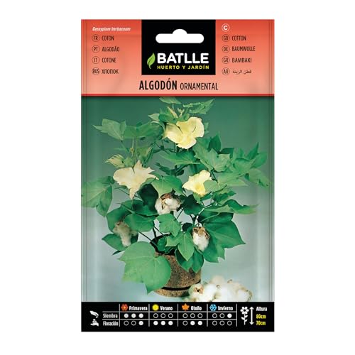 Semillas Batlle Algodon Ornamental