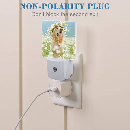 Image of Plug in Night Lights Golden Retriever with Daisy Wreath Night Light with Dusk to Dawn Sensor Night Light for Kid Girls Boys Women Men Room Decor, Hallway, Kitchen, Bathroom, Nursery, Stairs
