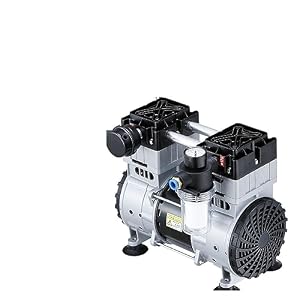 SEVEQIS Vacuum Pump, 150L/300L 950W Small Oil-Free Silent Vacuum Pump Pumping Laboratory Negative Pressure Air Industrial(3000H-150L)
