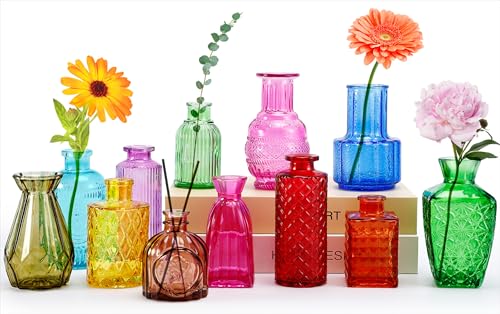 EXTRAPINS 12 Pcs Glass Bud Vases, Colorful Bud Vase Set,
