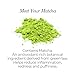 NassifMD Pure Hydration Facial Cleanser, Hydrating Face Cleanser with Vitamin C, Matcha Hemp Hydrating Cleanser (6oz)