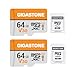 GIGASTONE 64GB Micro SD Card 2-Pack, V30 4K Video Recording, Surveillance, Security Camera, Dash Cam, Drone, 95MB/s MicroSDXC Memory Card UHS-I Class 10, with Adapter