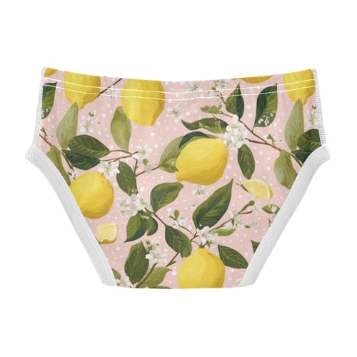 Wusikd Lemons Branches Boys' Underwear Cotton Flowers Boys Briefs Soft Toddler Underwear 2T2