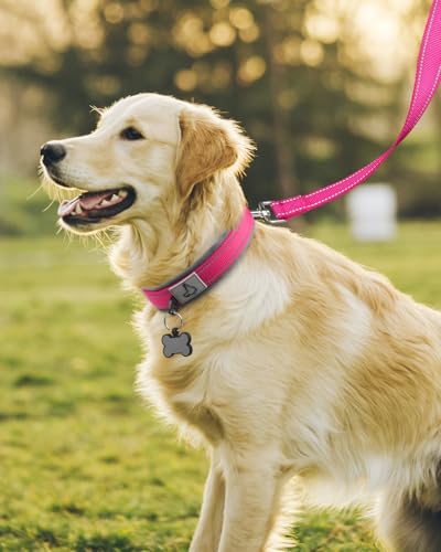 Image of Joytale Dog Collar for Large Dogs, Neoprene Padded and Adjustable, Reflective Wide Heavy Duty Pet Collars with Durable Metal Belt Buckle for Walking, Hotpink, L