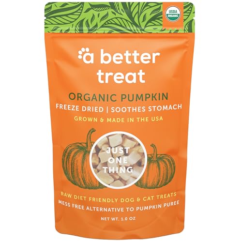 Organic Freeze Dried Pumpkin Cat Treats