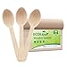 ECOLipak 300 Count Wooden Disposable Spoons, Compostable Wooden Spoons for Party, Camping, Traveling, Family Dinners 1
