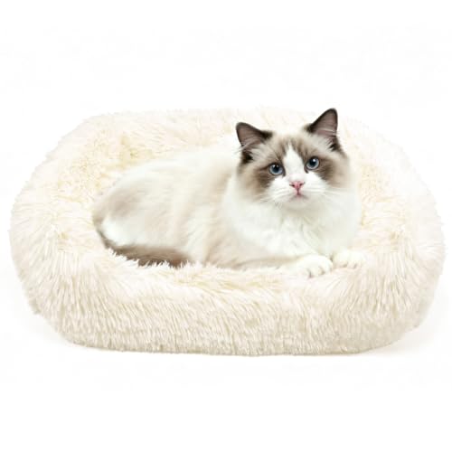 Gemarwel  L xbh ybgxbh y3ARۖhL ӂӂzNbV O\ ʔN 􂦂 _炩 ʋC ^ Lp ybg\t@[ (50L × 40W × 15H CM, x[W)