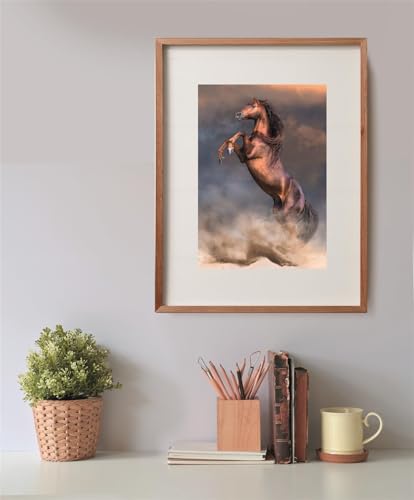 Puzzle Compact 500 pièces : Etalon sauvage Clementoni Puzzles - vue 8