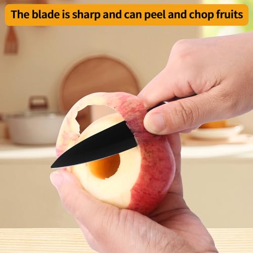 Pineapple Corer and Slicer, Stainless Steel Apple Pineapple cutter and corer Set, with Pineapple Slicer, Apple Corer and Fruit Cutter, Pineapple Apple corer tool kitchen