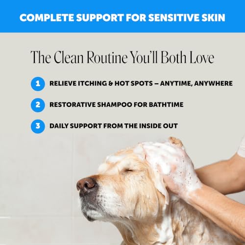 Image of 2 in 1 Dog Shampoo and Conditioner - Medicated Cat Shampoo for Itchy Skin Relief, Sensitive Skin Oatmeal Shampoo with Aloe Vera + MicroSilver BG for Hot Spot Treatment, Deodorizing Wash (16oz)
