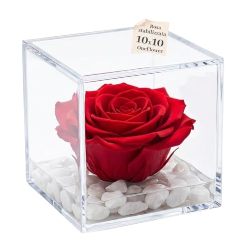 OneFlower by PREMIUM ROSE - Cubo Rosa Stabilizzata Rossa 10 cm con Marmo di Carrara - Rosa Eterna Stabilizzata Idea per San Valentino e Festa Della Mamma Made in Italy - Rosso A 1010