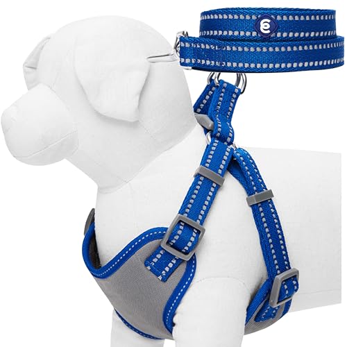 Blueberry Pet }b`O˃n[lXƃ[hZbg | p[ht߉\ȃpXexXg ? ȃMtgZbg | ^p̒߉\ȃlCr[xXg