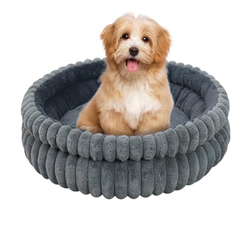 Cama de perro antideslizante con tapa lavable extraíble para un descanso higiénico en interiores 2