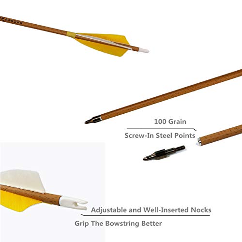 Letszhu Archery Carbon Arrows 500 Spine With Helical Real Feathers And Removable Tips For Compound Recurve Bow (6 Pack) #TOP4