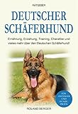 deutscher schäferhund züchter nrw  Deutscher Schäferhund: Erziehung, Ernährung, Training, Charakter und vieles mehr über den Deutschen Schäferhund