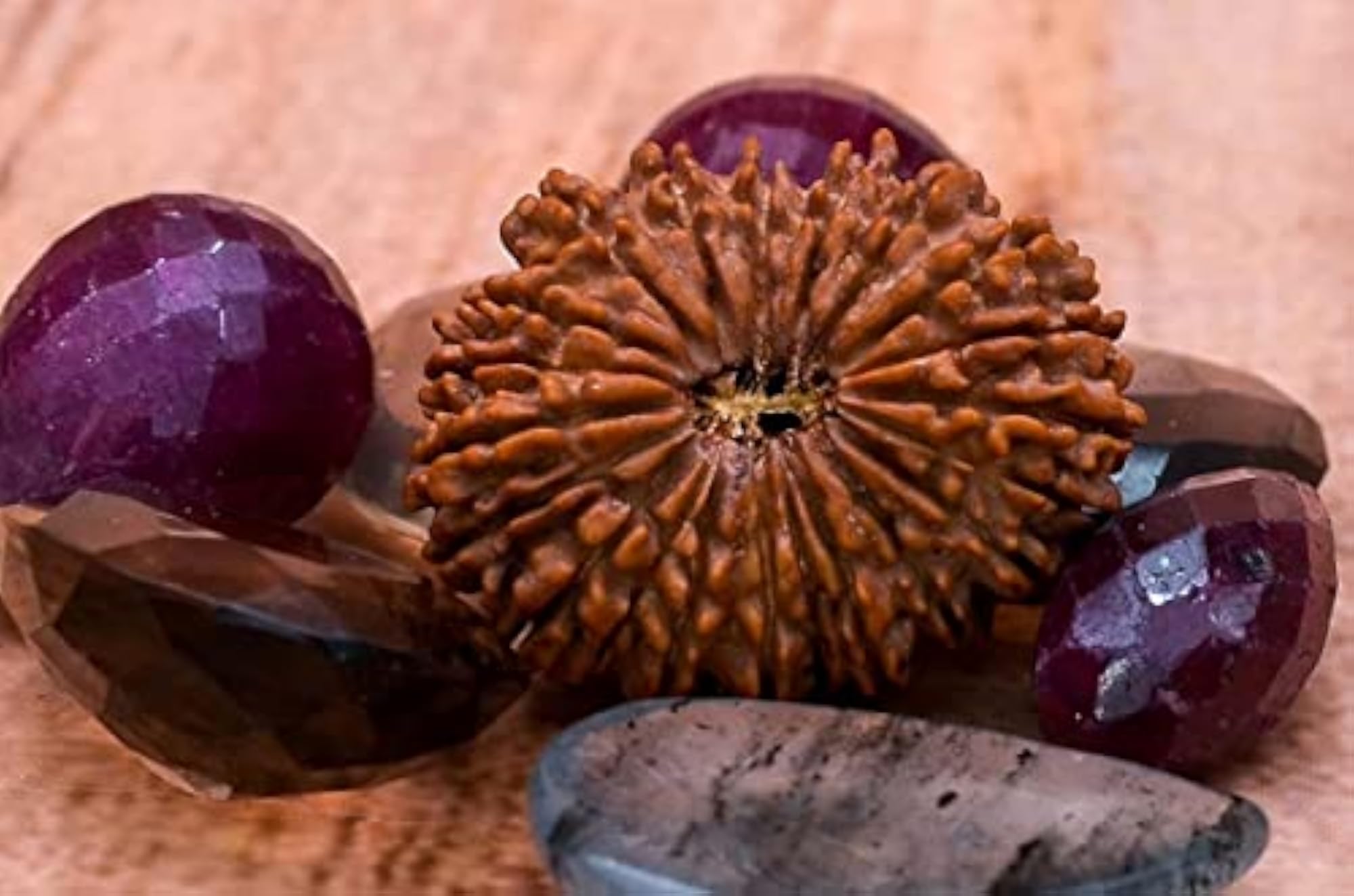 Ekkis Mukhi Rudrakhs Bead Original Certified