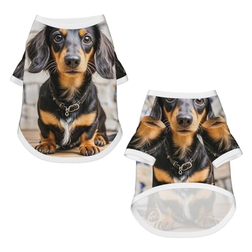 Dog Shirt Mesh Breathable T-Shirt Long haired Dachshund Dog Clothes