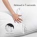 Basic Beyond Feather Down Pillow, Natural White Goose Feather Bed Pillows, Down Pillows Queen Size Set of 2, Hotel Soft Pillow for Sleeping, 18” x 28”