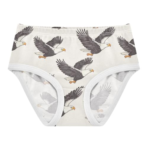 ZZKKO Eagle Flying Girls Underwear Toddler Panties for Girls Comfort Brief Size 2T-8Y