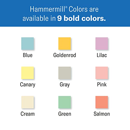Hammermill Colored Paper, 20Lb Pink Printer Paper, 8-1/2 X 11- 1 Ream (500 Sheets) - Made In The Usa, Pastel Paper, 103382R #TOP1