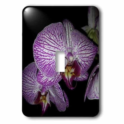 Interrupteur à bascule pour masquer les murs ternes motif orchidée 3dRose - 2