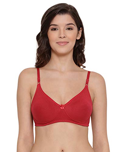 Image of Lyra Women's Cotton Non Padded Wire Free T Shirt Bra