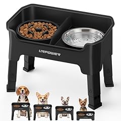 Black-Slow Feeder with Stainless Steel Bowl