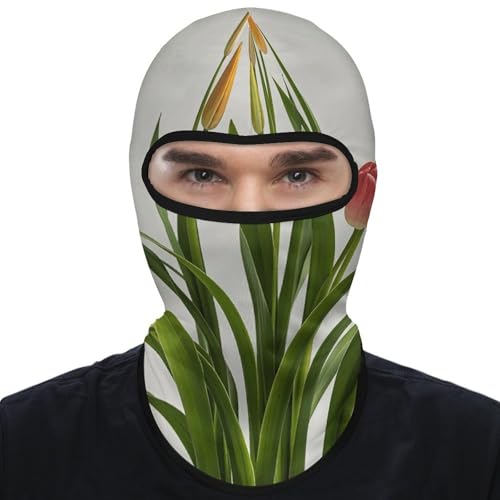 Balaclava para hombre y mujer, máscara para esquí, cubreboca completo para ciclismo miniatura 1