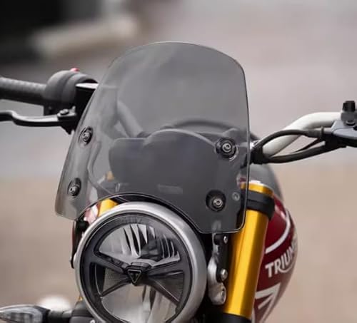 Aleyar Xs[h Scrambler 400x Speed 400 2024 XN[ h oCN I[goC̕hEChXN[ EChV[h KX tȒP i p[c XN[^[ (_[NO[)