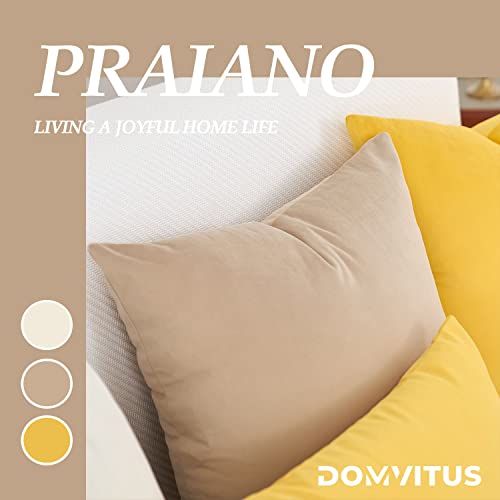 Domvitus Velvet Throw Pillow Covers 18X18 Set Of 2 Decorative Pillows For Bed Square Couch Pillows For Living Room Soft Accent Pillows Luxury Cushion Case For Sofa, Light Coffee #TOP3