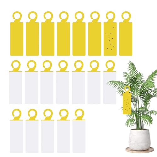 Genérico Trampa Adhesiva para Moscas – 20 Piezas De Doble Cara, Tira Adhesiva para Interiores Fruit | Solución Eficaz De Control De Plagas para Cocina Al Aire Libre, Jardín, Planta, Restaurante |