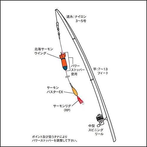 Amazon | ナカジマ NPK アキアジ サーモンウイング ルアーセット 2973 
