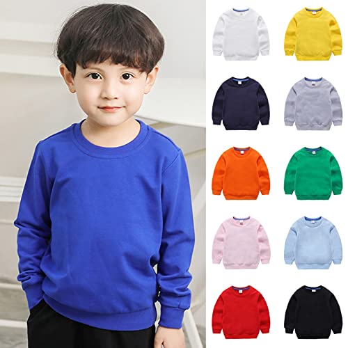 Toddler Boys Girls Solid Pullovers Sweatshirt Long Sleeve T-Shirt Kids Cotton Crewneck Thin Blouse Tops2