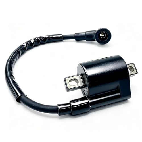 Bobine d'allumage pour moteur 2T 5HP remplace 369-06050 et 16064A1