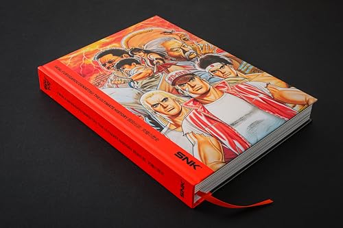 Fatal Fury/Garou Densetsu: The Ultimate History – vue 2