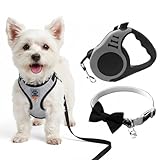 Katzengeschirr mit Leine Ausbruchsicher, Haustierhalsbänder, 5 m/16,4 Fuß Automatisch Einziehbar Katzenleine für Katzen, Welpen, Katzen Geschirr Set mit Leine, M