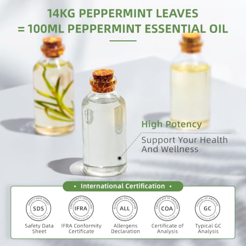 Image of HIQILI Peppermint Essential Oil for Freshening Air, Hair Care & DIY | Refreshing Minty Aroma for Soap Making, SPA & Home Use - 500ml / 16.9 fl oz