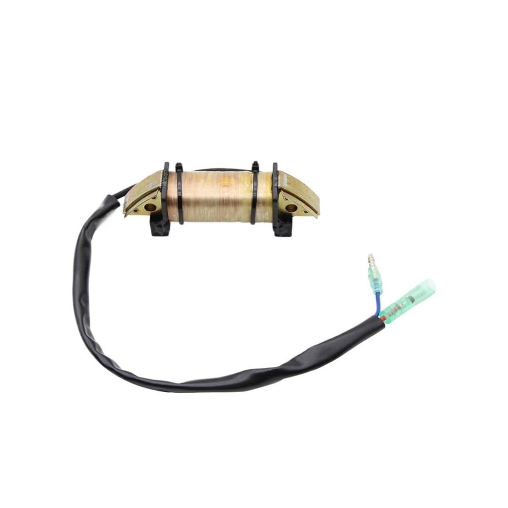Bobine d'excitation moteur hors bord qui cale panne allumage M15D2 NS18E2 2 temps
