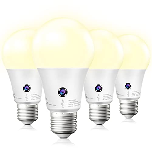 Best Led Outdoor Light Bulbs Expert Review The Modern Record