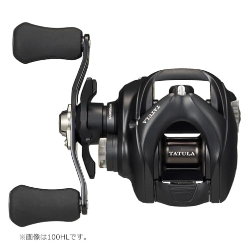 ダイワ 24タトゥーラTW 100
