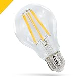 SPECTRUM LED