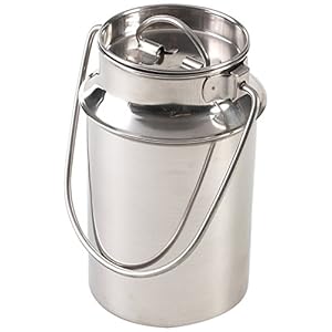 ORION Melkkan roestvrij staal met steekdeksel en draagbeugel 3,2 l transportkan