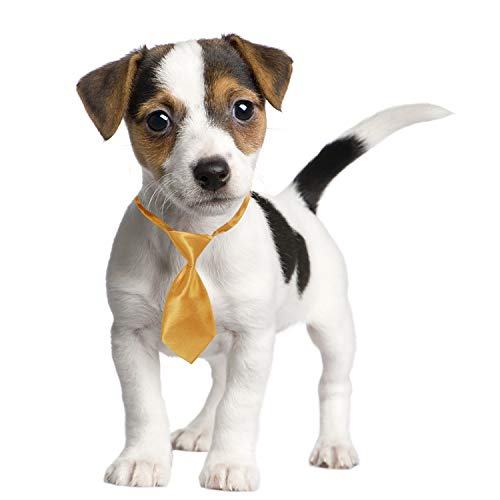 Segarty Small Dog Ties, 40 Pcs Dog Neck Bow Tie With Adjustable Solid Color Dog Bowtie Collar For Wedding Holiday Birthday Christmas Costumes Grooming Accessories, Bulk Necktie Gift For Cat Puppy Pet #TOP2